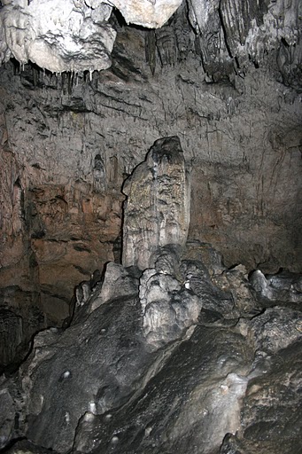 mali rak 2010 177.JPG